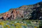 USA, Nevada, Elgin. Rainbow Canyon Art Print